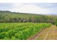 Lot 3 Long Point Road, French Island VIC 3921
