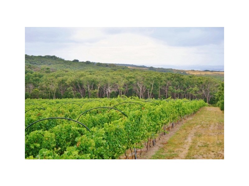 Lot 3 Long Point Road, French Island VIC 3921