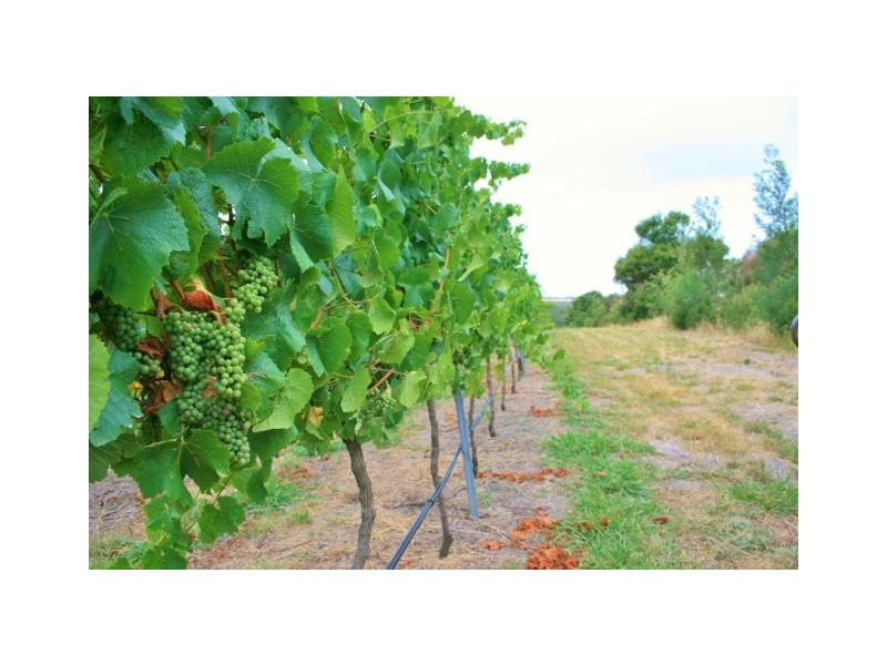 Lot 3 Long Point Road, French Island VIC 3921