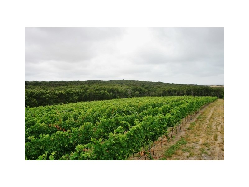 Lot 3 Long Point Road, French Island VIC 3921