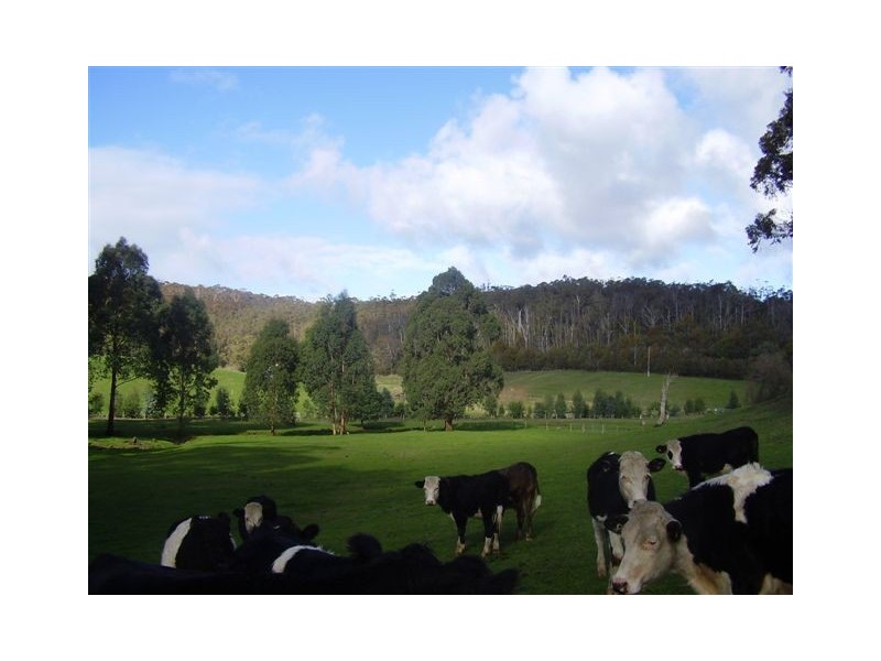 410 Neerim East Road, Neerim South VIC 3831