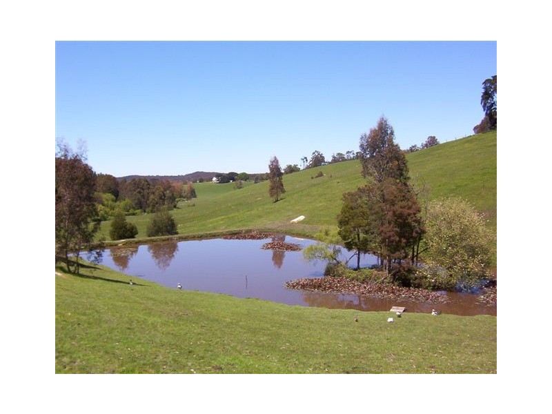 410 Neerim East Road, Neerim South VIC 3831