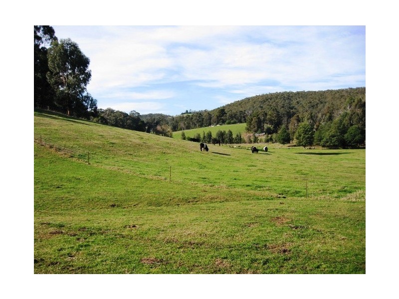 410 Neerim East Road, Neerim South VIC 3831