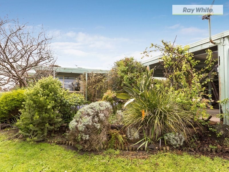 6 Walpole Avenue, Rosebud VIC 3939