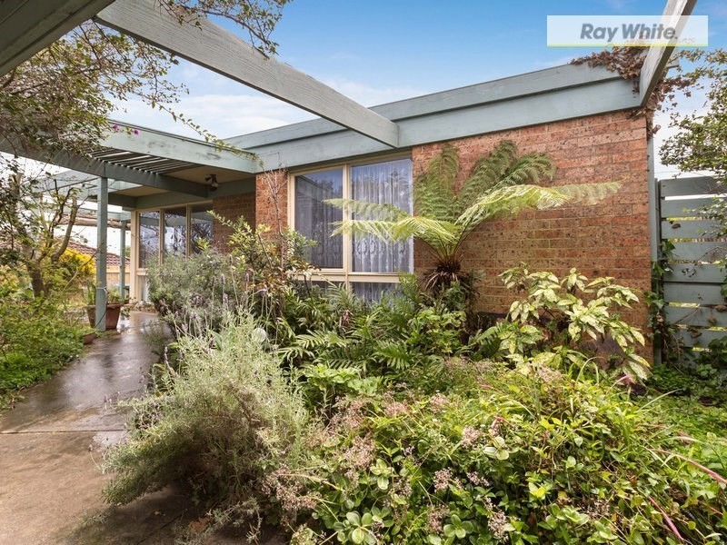 6 Walpole Avenue, Rosebud VIC 3939