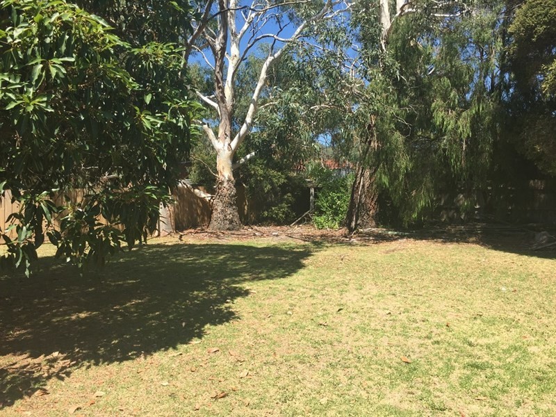 29 Wattle Road, Mccrae VIC 3938