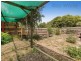 143 Boneo Road, Rosebud VIC 3939