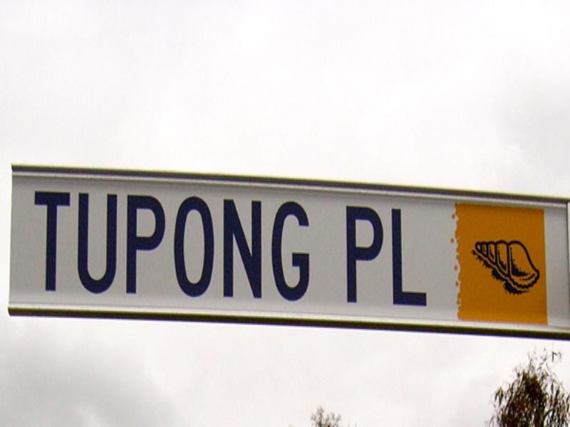 Lot 533 Tupong Place, Rosebud VIC 3939