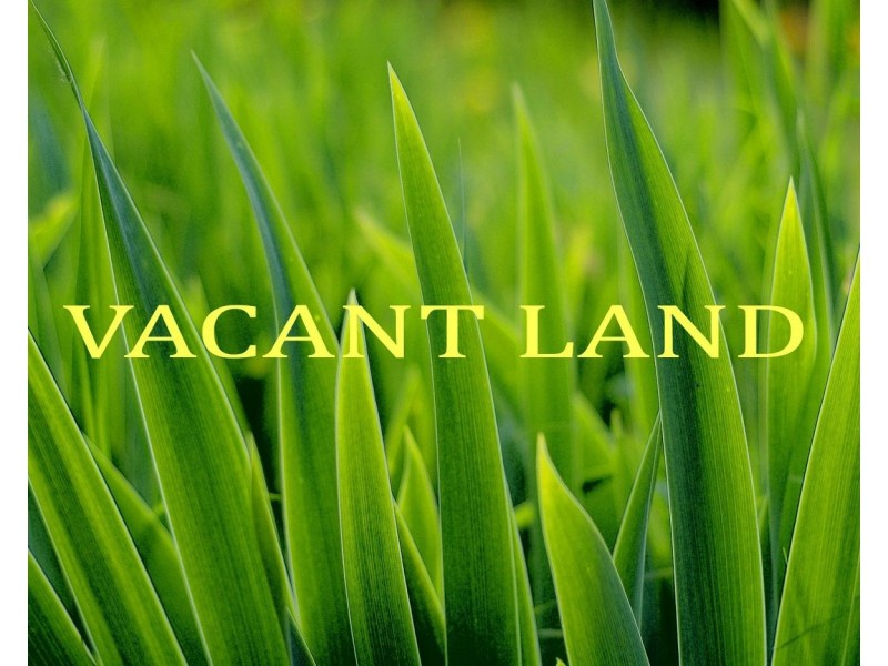 25 Monomeith Street, Rye VIC 3941