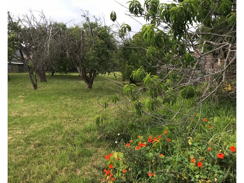 45 John Street, Tootgarook VIC 3941