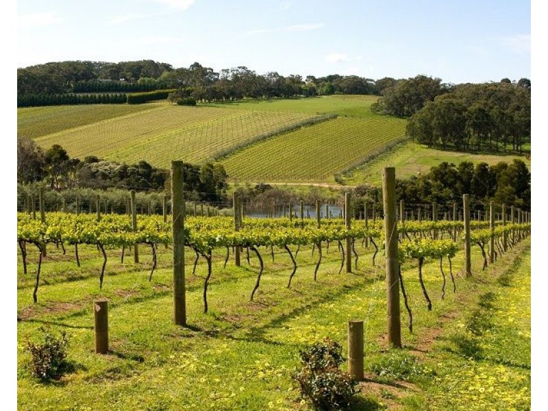 45 John Street, Tootgarook VIC 3941