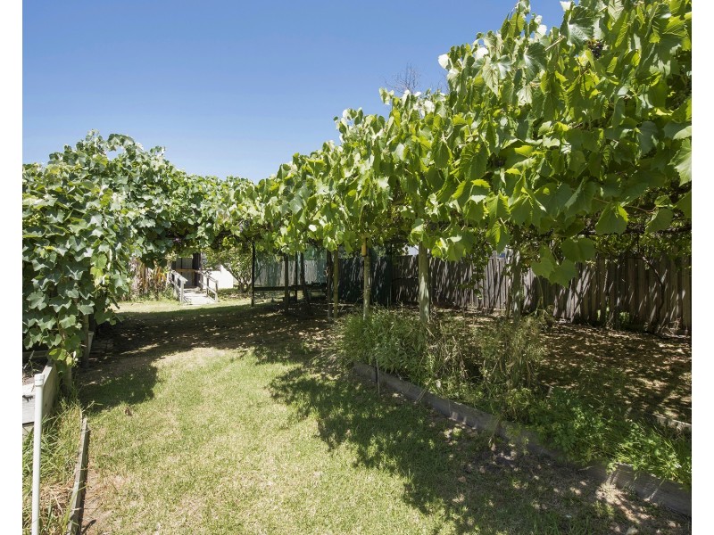 82 Warranilla Avenue, Rosebud VIC 3939