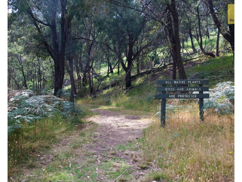 285 Bayview Road, Mccrae VIC 3938