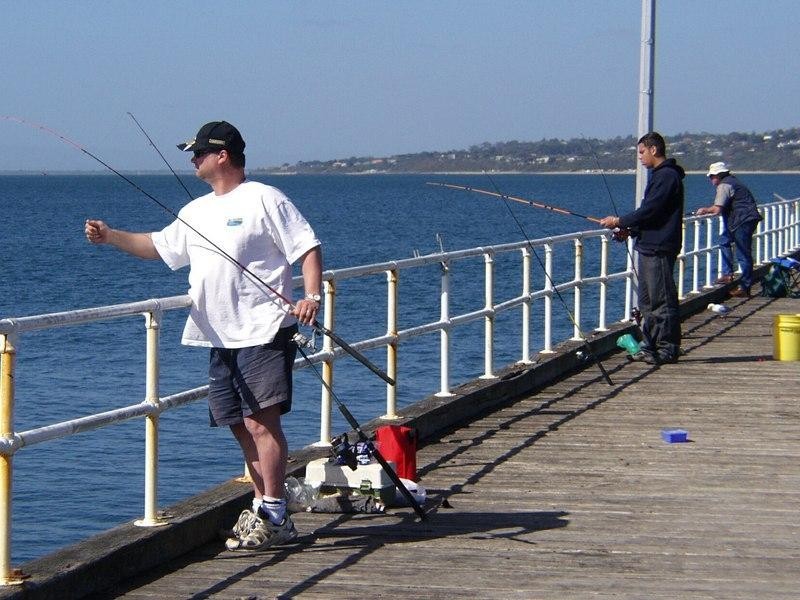 14 Mills Beach, Mornington VIC 3931