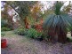 1 Goolgowie Street, Rosebud VIC 3939