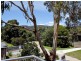 8 Wilfred Street, Rosebud VIC 3939