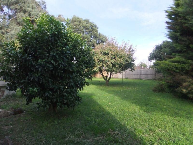 14 Illuka Street, Safety Beach VIC 3936