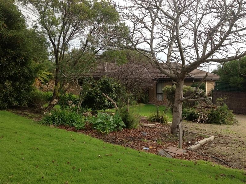 6 Morris Road, Mccrae VIC 3938