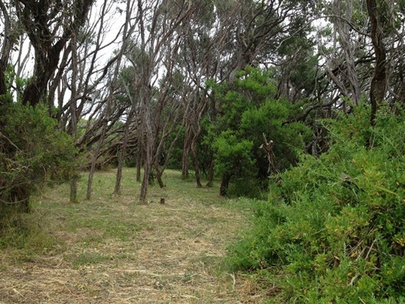 4 Christine Street, Rye VIC 3941