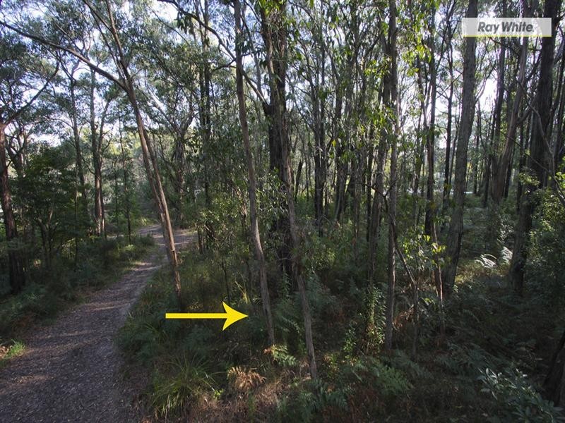 8-12 Bourke Road, Red Hill VIC 3937