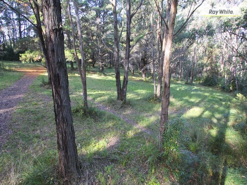 2-6 Bourke Road, Red Hill VIC 3937