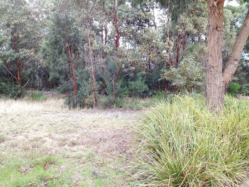 10 Peppermint Court, Rosebud VIC 3939