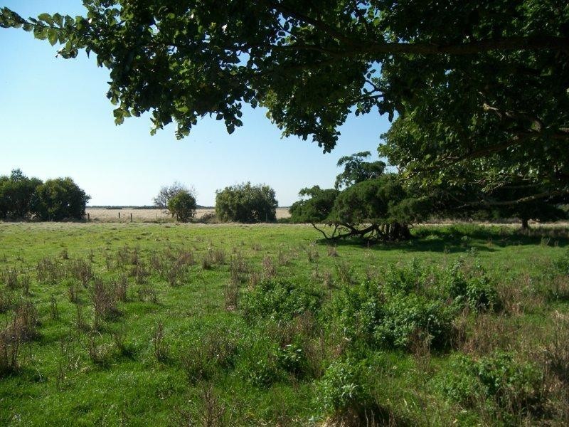 Lot 5 Coast Road, French Island VIC 3921