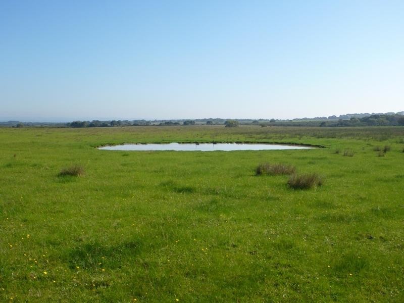 65 Clump Road, French Island VIC 3921