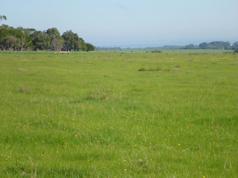 65 Clump Road, French Island VIC 3921