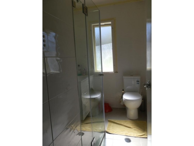 17 Albany Street, Busby NSW 2168