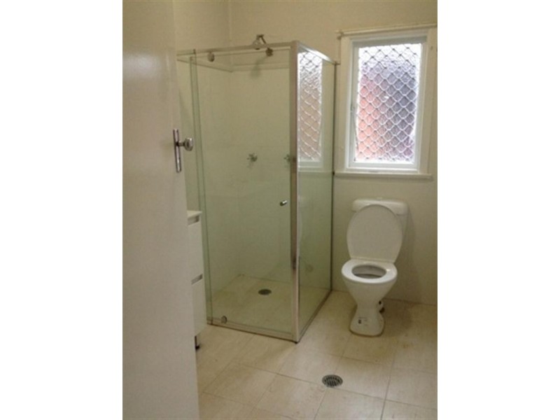 39 Torrens Street, Canley Heights NSW 2166