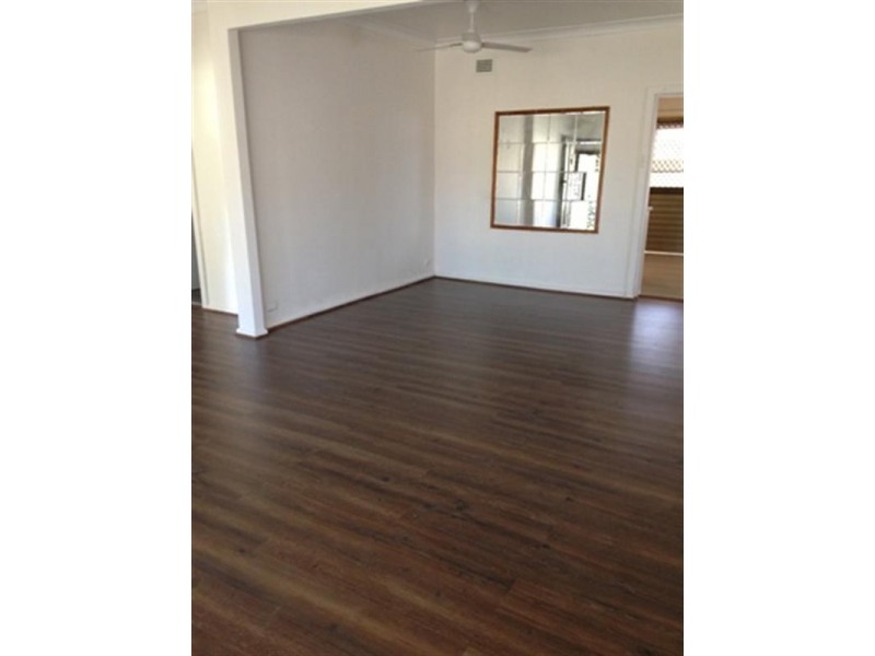 9 Towers Street, Cabramatta NSW 2166