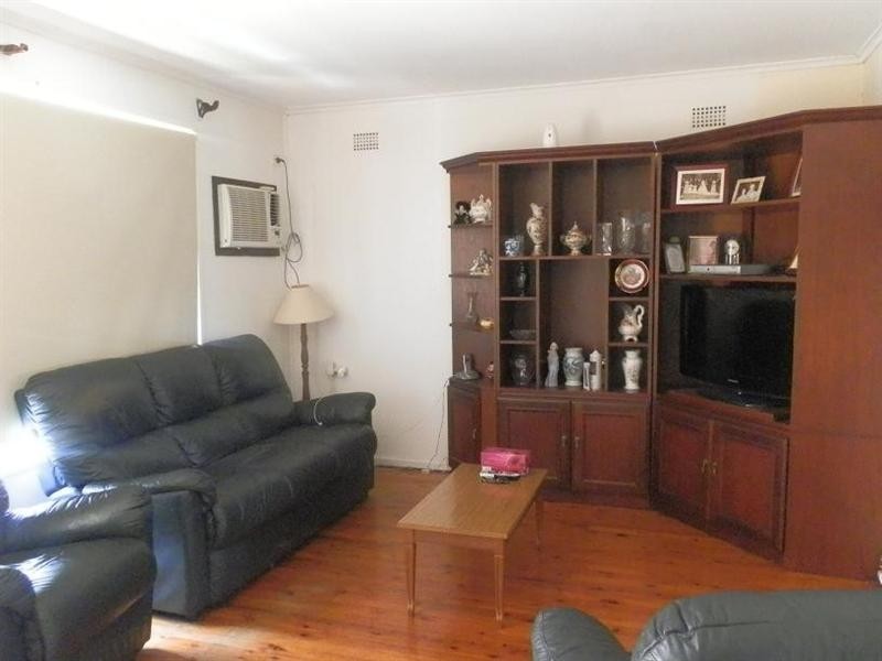 66 Alinga Street, Cabramatta NSW 2166