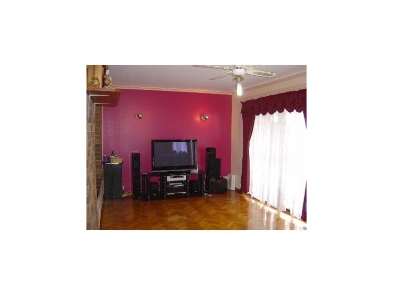 28 Albert Street, Cabramatta NSW 2166