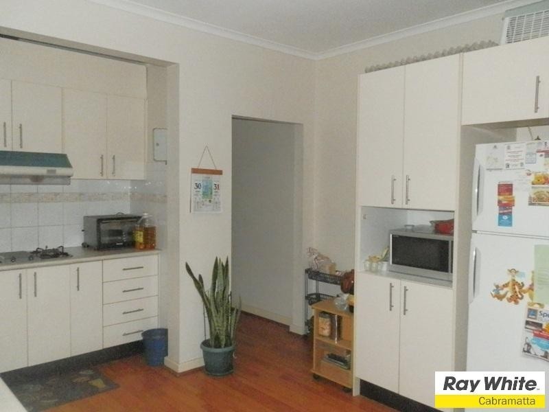 45 Torrens Street, Canley Heights NSW 2166