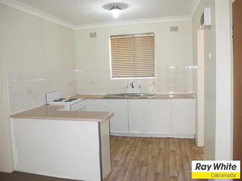 25 Cumberland Street, Cabramatta NSW 2166