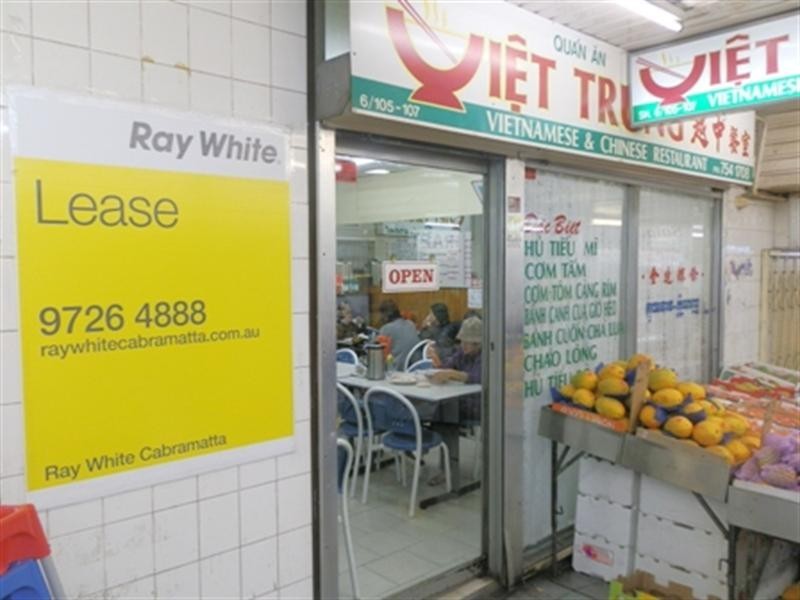 6/105 John Street, Cabramatta NSW 2166