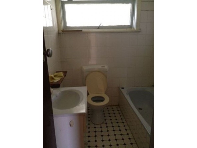 20 Warwick Avenue, Cabramatta NSW 2166