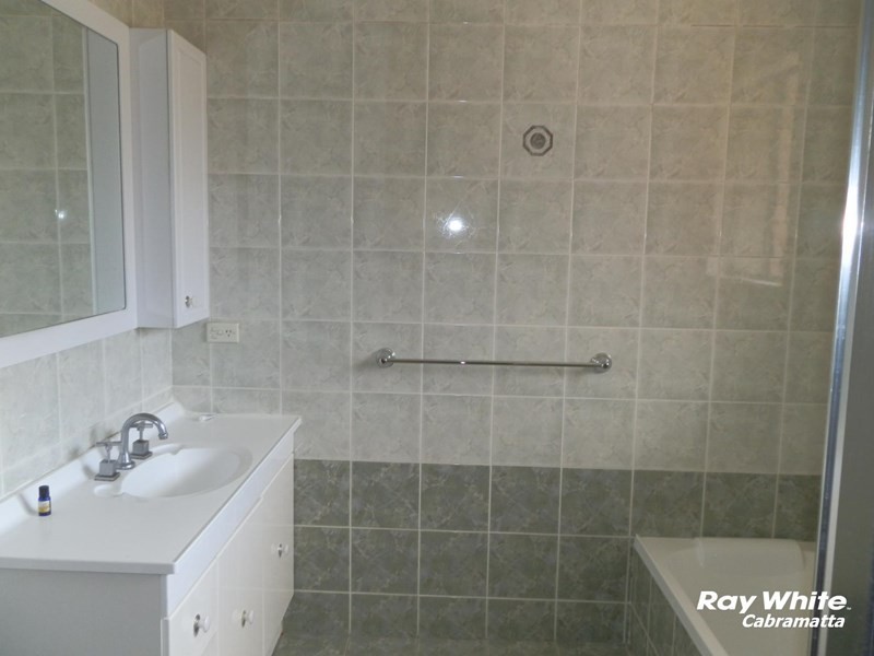 Mount Pritchard NSW 2170