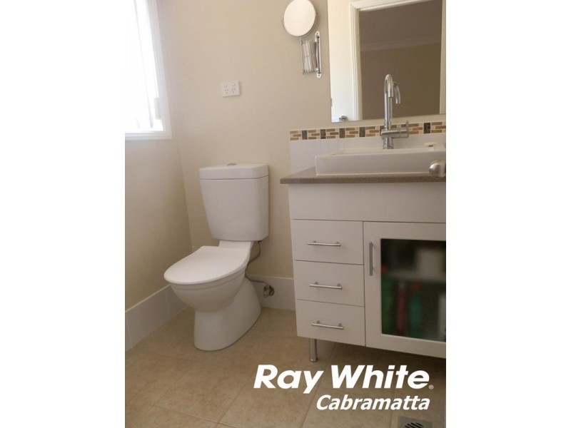 20 Kinchega Court, Wattle Grove NSW 2173