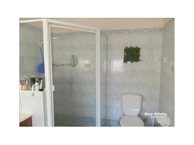 19 Ivanhoe Street, St Johns Park NSW 2176