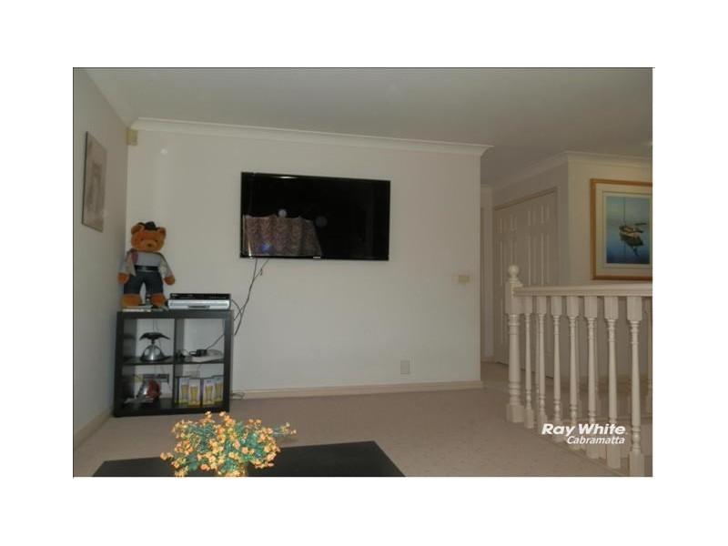 19 Ivanhoe Street, St Johns Park NSW 2176