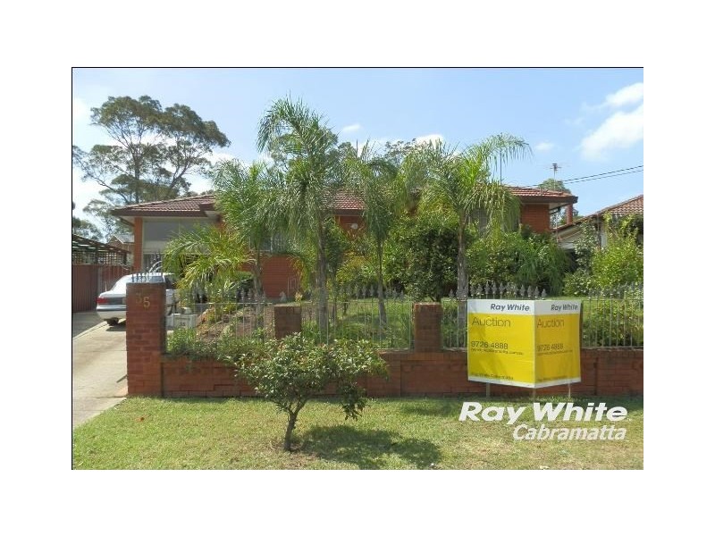 35 David Street, Mount Pritchard NSW 2170
