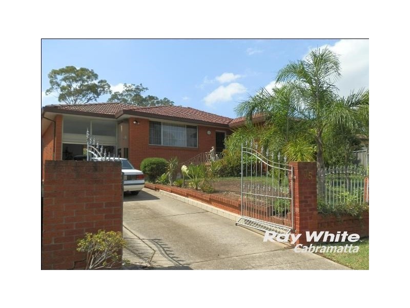 35 David Street, Mount Pritchard NSW 2170