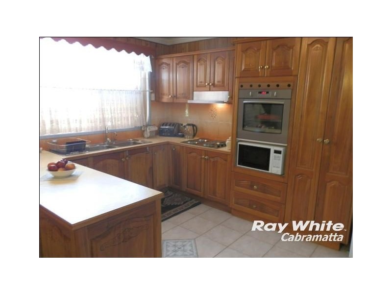 35 David Street, Mount Pritchard NSW 2170