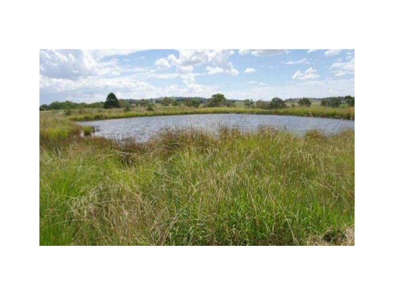 3 (LOT 221) Bullus Place Boxes Creek, Goulburn NSW 2580