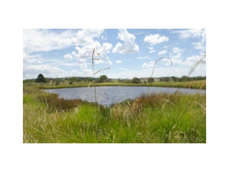 3 (LOT 221) Bullus Place Boxes Creek, Goulburn NSW 2580