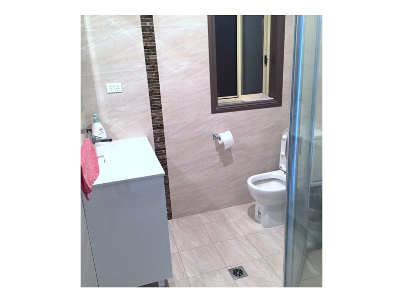 4 Alphill Avenue, Cabramatta NSW 2166