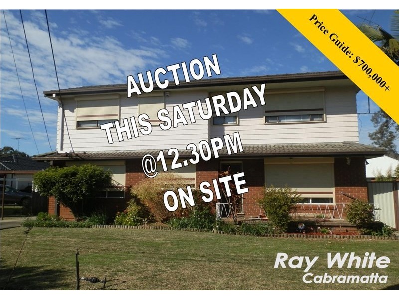 9 Canva Street, Canley Vale NSW 2166