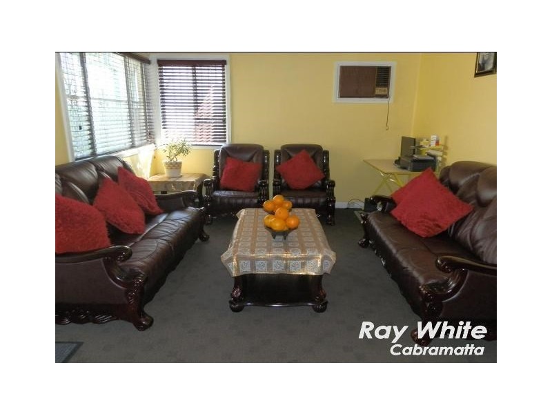 53 Broad Street, Cabramatta NSW 2166